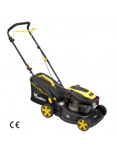 RASAERBA MOTORE A SCOPPIO LM 44