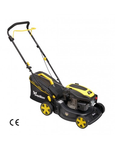 RASAERBA MOTORE A SCOPPIO LM 44