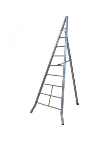 SCALA TRIANGOLARE AGRI FACAL