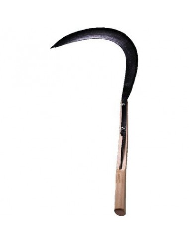 FALCIOLA SEGHEZZA CANTONIERE