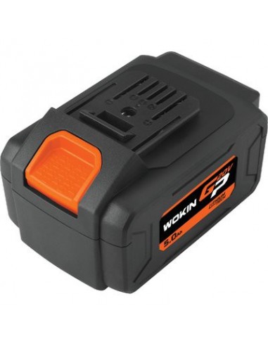 BATTERIA LITIO GP20V WOKIN