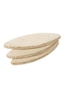 LAMELLA LEGNO PG 669.10 MM 53X19 CFPZ 50
