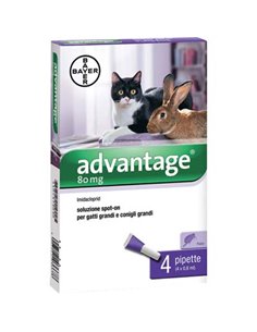 ANTIPARASSITARIO ADVANTAGE GATTI BAYER OPEN KG 4+ CFPZ 4