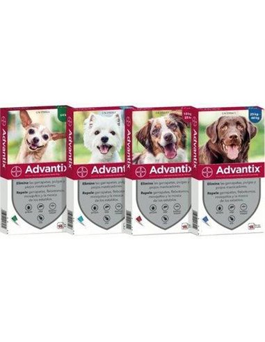ANTIPARASSITARIO ADVANTIX CANI BAYER KG 25/40 CFPZ 6