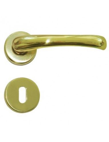 MANIGLIA RIO ROSETTA FORO PATENT OTTONE LUCIDO Q8 CFPZ 2