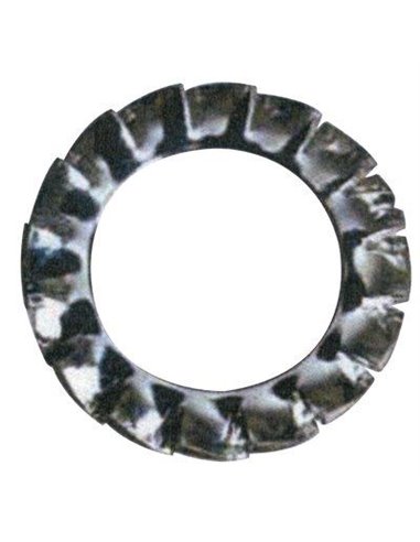 RONDELLA DENTELLATA ZINCATA M 12 CFPZ 1000