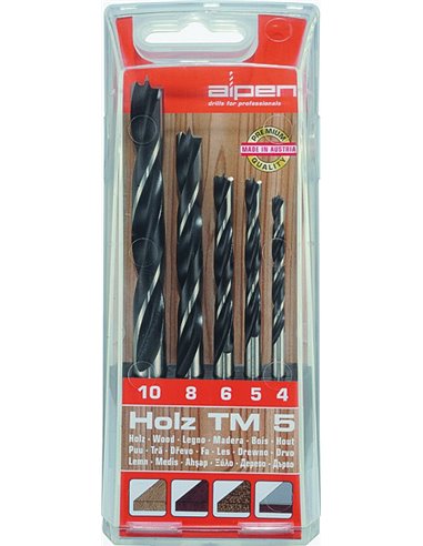 ASSORTIMENTO 5 PEZZI PUNTE PER LEGNO