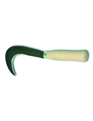 RONCHINO PER ORTO