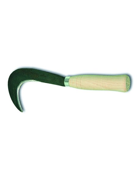 RONCHINO PER ORTO