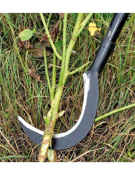 RONCOLA SCANSANO MANICO TUBO