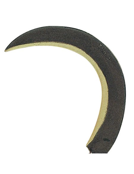 RONCOLA SCANSANO MANICO TUBO
