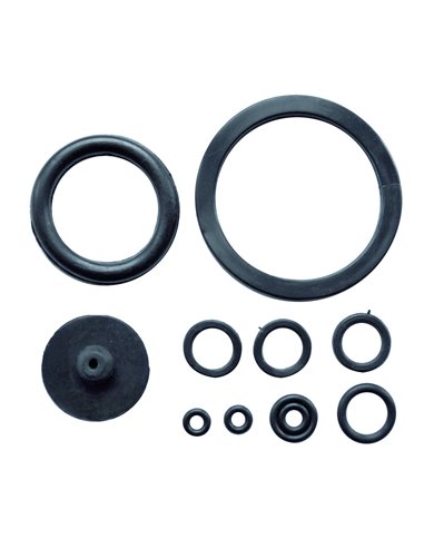 KIT RICAMBI PER POMPA A PRESSIONE LT. 6/8
