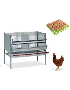 GABBIA PER GALLINE OVAIOLE - ART. 116 2