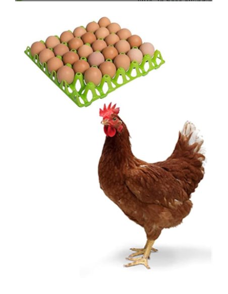 NIDO PER GABBIA GALLINE OVAIOLE - ART. 340