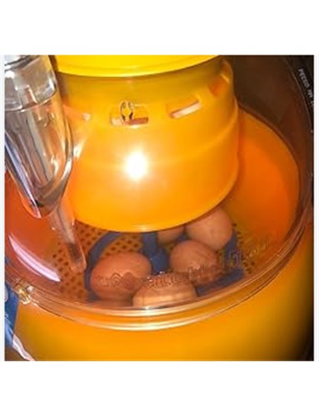 INCUBATRICE COVATUTTO 16L