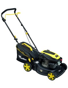 RASAERBA MOTORE A SCOPPIO GREEN 42N