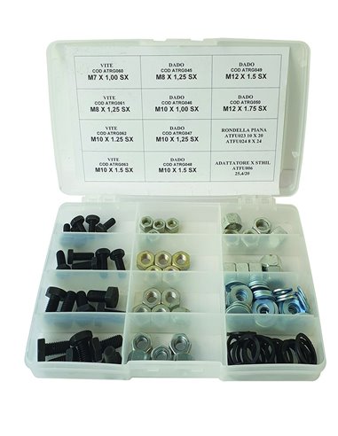 ASSORTIMENTO VITI E DADI PER TESTINE DECESPUGLIATORI